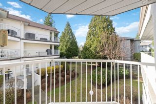 Photo 37: 205 33401 MAYFAIR Avenue in Abbotsford: Central Abbotsford Condo for sale in "Mayfair Gardens" : MLS®# R2860022