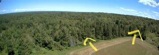 Photo 4: Balmoral Road in Central New Annan: 103-Malagash, Wentworth Vacant Land for sale (Northern Region)  : MLS®# 202218858