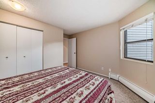 Photo 28: 206 630 57 Avenue SW in Calgary: Windsor Park Apartment for sale : MLS®# A2126401