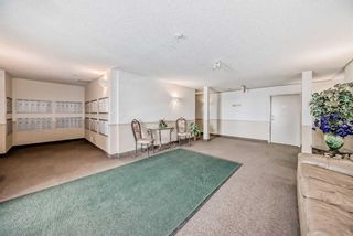 Photo 15: 411 55 Arbour Grove Close NW in Calgary: Arbour Lake Apartment for sale : MLS®# A2123411