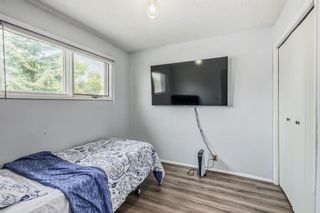 Photo 15: 4531 43 Street NE in Calgary: Whitehorn Detached for sale : MLS®# A2077524