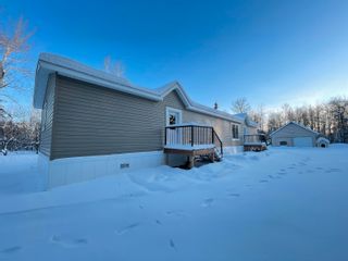 Photo 18: 60113 RGE RD 252: Rural Westlock County House for sale : MLS®# E4272453