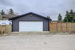 Photo 45: 53 Marquis Place SE: Airdrie Detached for sale : MLS®# A1208451