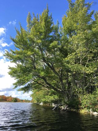 Photo 11: Lot D Back Lake Road in Upper Ohio: 407-Shelburne County Vacant Land for sale (South Shore)  : MLS®# 202401784