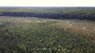 Photo 1: Lt 12 Bexley Laxton Twp Line in Kawartha Lakes: Rural Bexley Property for sale : MLS®# X6780842