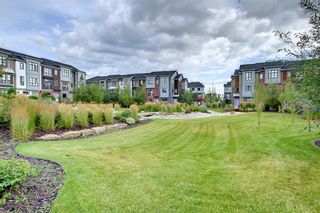 Photo 40: 73 Walden Common SE in Calgary: Walden Row/Townhouse for sale : MLS®# A1254779