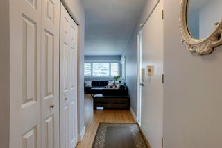 Photo 21: 8040 4A Street SW in Calgary: Kingsland Detached for sale : MLS®# A1220387
