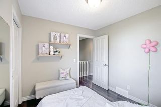 Photo 30: 160 Evansbrooke Landing NW in Calgary: Evanston Detached for sale : MLS®# A1149743