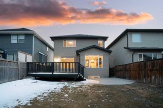 Photo 31: 133 Auburn Glen Manor SE in Calgary: Auburn Bay Detached for sale : MLS®# A2119192