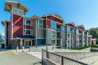 Main Photo: 206 2242 WHATCOM Road in Abbotsford: Abbotsford East Condo for sale in "Waterleaf" : MLS®# R2288895