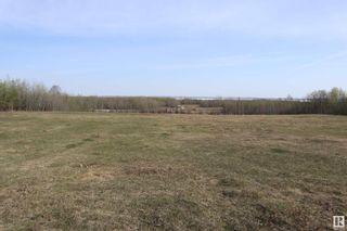 Photo 7: Pt NW-31-46 -1-W5: Rural Wetaskiwin County Vacant Lot/Land for sale : MLS®# E4368899