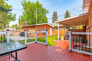 Photo 34: 5311 Brisebois Drive NW in Calgary: Brentwood Detached for sale : MLS®# A2050440