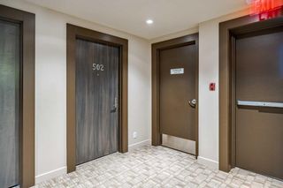 Photo 3: 502 530 12 Avenue SW in Calgary: Beltline Apartment for sale : MLS®# A2116803