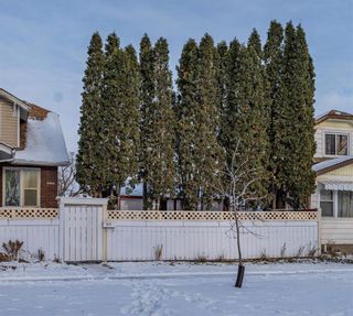 Photo 7: 833 College Avenue in Winnipeg: Vacant Land for sale : MLS®# 202331916