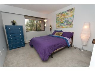 Photo 7: 109 1040 KING ALBERT Avenue in Coquitlam: Central Coquitlam Condo for sale in "AUSTIN HEIGHTS" : MLS®# V1018829