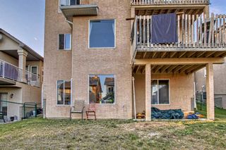 Photo 45: 238 Royal Bay NW in Calgary: Royal Oak Detached for sale : MLS®# A2073560