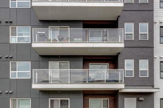 Photo 28: 203 4150 Seton Drive SE in Calgary: Seton Apartment for sale : MLS®# A1250009