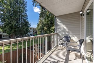 Photo 17: 1 33293 E BOURQUIN Crescent in Abbotsford: Central Abbotsford Townhouse for sale in "Brighton Court" : MLS®# R2764392