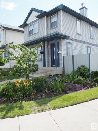 Photo 39: 3768 20 Street in Edmonton: Zone 30 House for sale : MLS®# E4384818