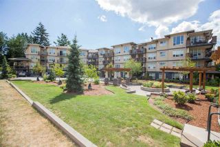 Photo 14: 424 2565 CAMPBELL Avenue in Abbotsford: Central Abbotsford Condo for sale in "ABACUS UPTOWN" : MLS®# R2381899