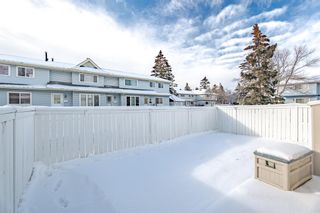 Photo 32: 68 Falconer Terrace NE in Calgary: Falconridge Row/Townhouse for sale : MLS®# A2021759