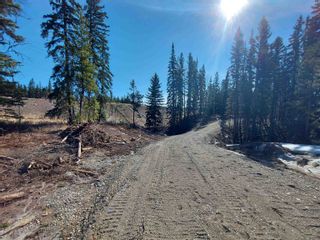 Photo 13: LOT 1 S CARIBOO Highway in Prince George: Pineview Land for sale (PG Rural South)  : MLS®# R2736269