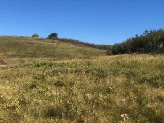 Photo 16: 306 Avenue W: Rural Foothills County Residential Land for sale : MLS®# A2084312