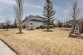 Photo 37: 414 Canals Boulevard SW: Airdrie Detached for sale : MLS®# A1179763
