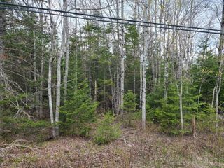 Photo 2: Belmont Road in Belmont: 104-Truro / Bible Hill Vacant Land for sale (Northern Region)  : MLS®# 202309405