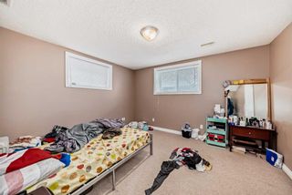 Photo 43: 129 Tarawood Close NE in Calgary: Taradale Detached for sale : MLS®# A2128503