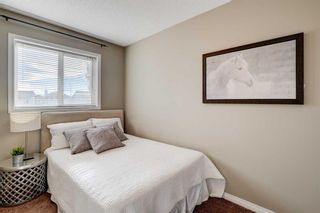 Photo 21: 214 Morningside Gardens SW: Airdrie Detached for sale : MLS®# A2088537