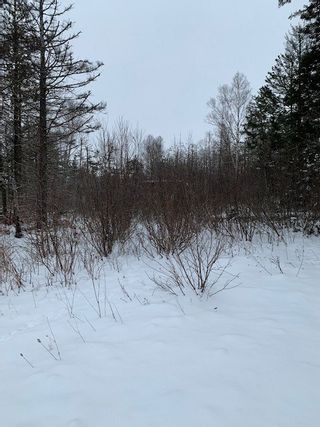 Photo 4: Parcel MAO-1 Long Point Road in Burlington: 404-Kings County Vacant Land for sale (Annapolis Valley)  : MLS®# 202100989