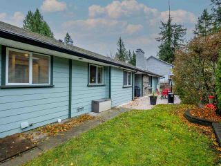 Photo 33: 3809 207 Street in Langley: Brookswood Langley House for sale : MLS®# R2521206