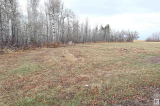 Photo 3: 49341 Highway 39: Rural Leduc County Vacant Lot/Land for sale : MLS®# E4331566