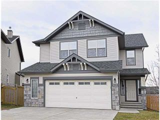 Photo 20: 311 ROYAL BIRCH Bay NW in Calgary: Royal Oak Residential Detached Single Family for sale : MLS®# C3642313