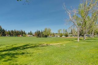 Photo 41: 1164 Lake Huron Crescent SE in Calgary: Bonavista Downs Detached for sale : MLS®# A2043116
