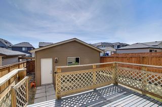 Photo 45: 55 Nolanfield Terrace NW in Calgary: Nolan Hill Detached for sale : MLS®# A1094536