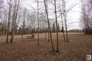 Photo 26: Hwy 2 Twp Road 670: Rural Athabasca County Vacant Lot/Land for sale : MLS®# E4382679