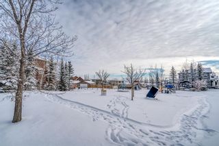 Photo 36: 342 Evansdale Way NW in Calgary: Evanston Detached for sale : MLS®# A1184663