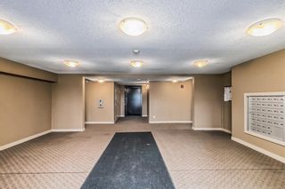 Photo 36: 1308 5 Saddlestone Way NE in Calgary: Saddle Ridge Apartment for sale : MLS®# A2037038