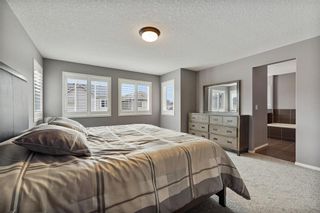 Photo 30: 245 Skyview Shores Manor NE in Calgary: Skyview Ranch Detached for sale : MLS®# A2043191
