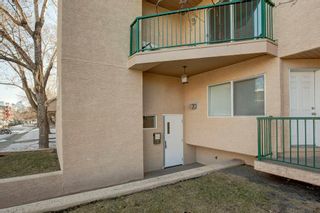Photo 4: 303 1833 11 Avenue SW in Calgary: Sunalta Apartment for sale : MLS®# A2002774