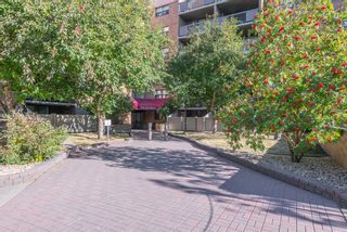 Photo 26: 227 30 Mchugh Court NE in Calgary: Mayland Heights Apartment for sale : MLS®# A2003552