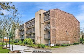 Photo 17: 202 9867 MANCHESTER DRIVE in Burnaby: Cariboo Condo for sale (Burnaby North)  : MLS®# R2449324