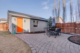 Photo 48: 63 Elgin Terrace SE in Calgary: McKenzie Towne Detached for sale : MLS®# A1185873