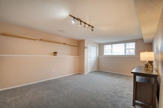 Photo 27: 308 Sagewood Park SW: Airdrie Detached for sale : MLS®# A1203264