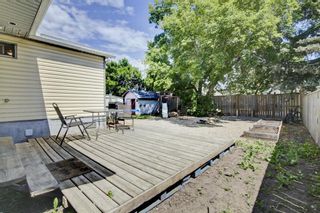 Photo 26: 810 Brentwood Crescent: Strathmore Detached for sale : MLS®# A1243061