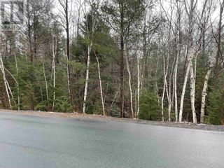 Photo 2: Lot Glendale Avenue|PID 34456046 in Lower Branch: Vacant Land for sale : MLS®# 202400645