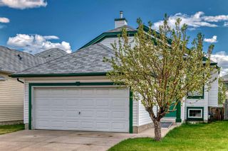 Main Photo: 135 Los Alamos Place NE in Calgary: Monterey Park Detached for sale : MLS®# A2133250