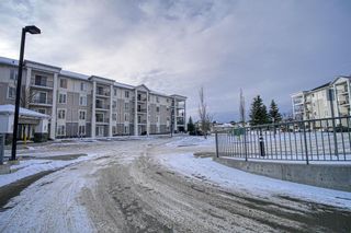 Photo 48: 2413 333 Taravista Drive NE in Calgary: Taradale Apartment for sale : MLS®# A2015874
